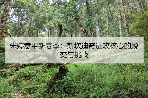 朱婷意甲新赛季：斯坎迪奇进攻核心的蜕变与挑战