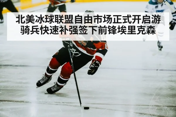北美冰球联盟自由市场正式开启游骑兵快速补强签下前锋埃里克森
