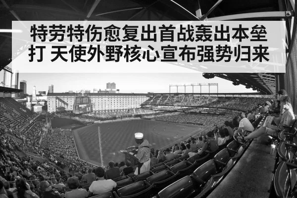 baseball stadium crowd